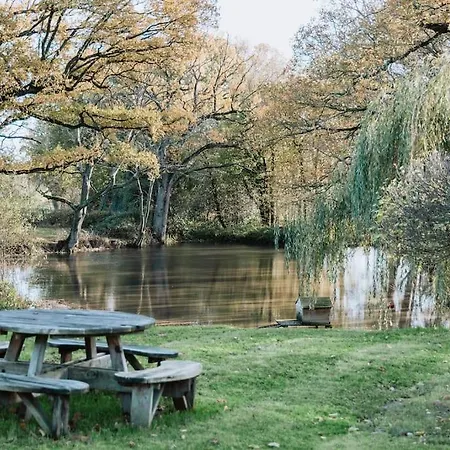 New Cosy Cottage - Lake View & Log Burner - Dog Proof Garden Rolvenden Exterior photo