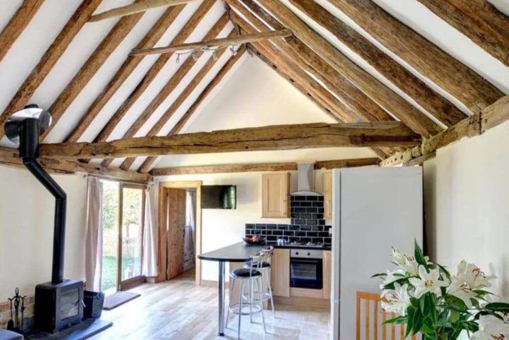New Cosy - View & Log Burner - Dog Proof Garden Rolvenden